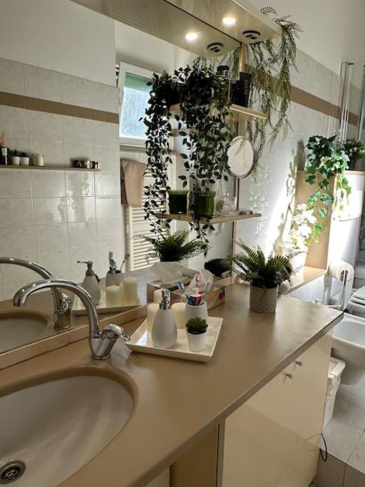 Appartamento Bisceglie Milão Exterior foto